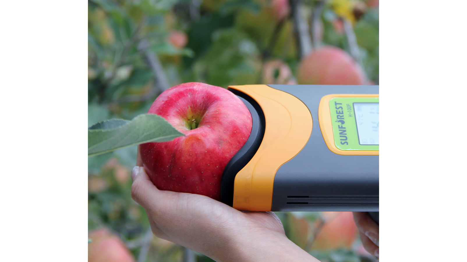 H100系列果實(shí)品質(zhì)檢測儀